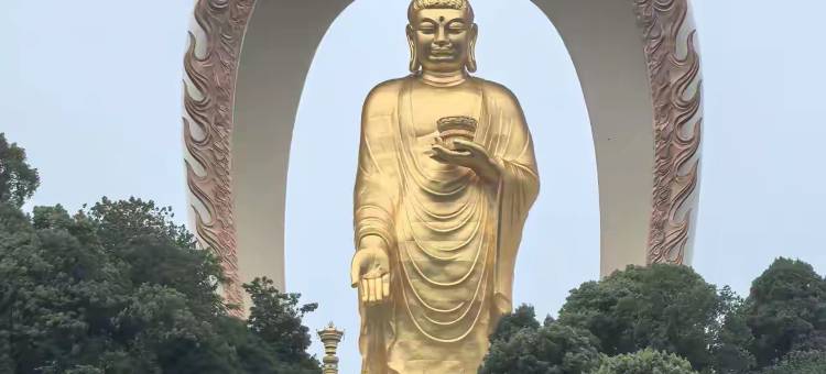 云海阁民宿(东林大佛店)图片