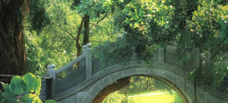 维也纳酒店(深圳东门老街店)图片