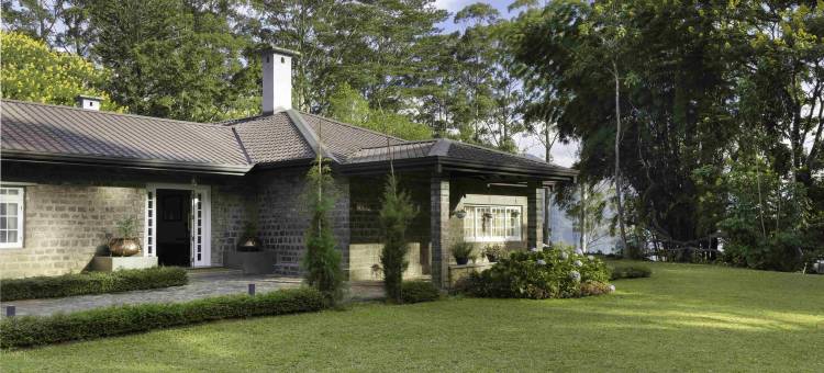 薰见小筑(The Lavender House by Reveal)图片