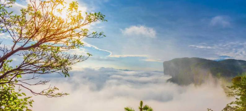 绝壁驿栈(朝东岩绝壁栈道店)图片