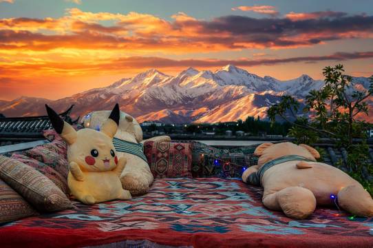 hotel overview picture