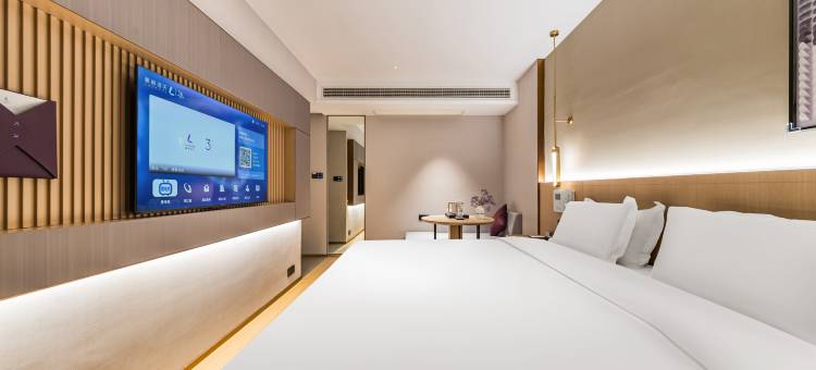 麗枫酒店(拉萨布达拉宫广场店)图片