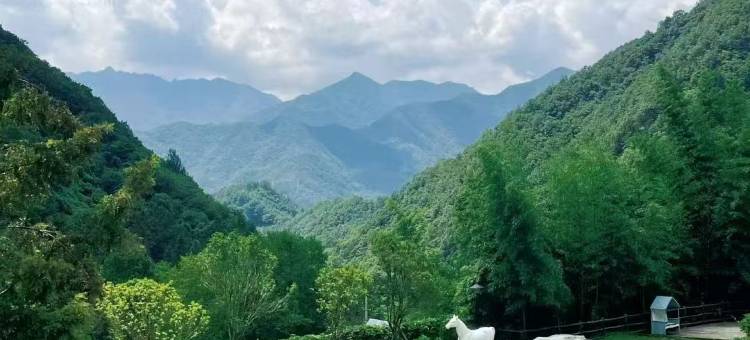 佛坪贝壳山居图片