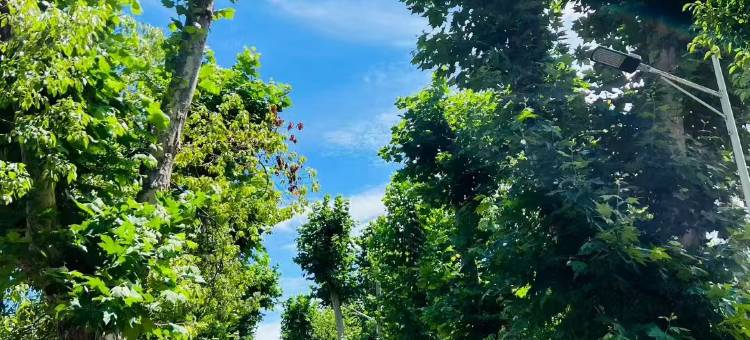 丹江口龙山宾馆图片