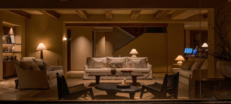 四姑娘山绿绒蒿MECONOPSIS金山庄园图片