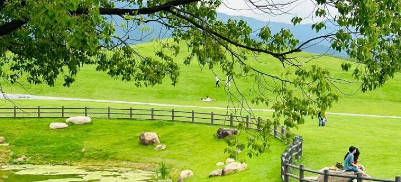 鑫诚酒店(金华大堰河轻轨站万达广场店)图片