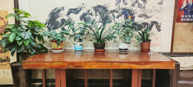 龙腾宾馆(哈尔滨三大动力路远东心脑血管医院店)图片