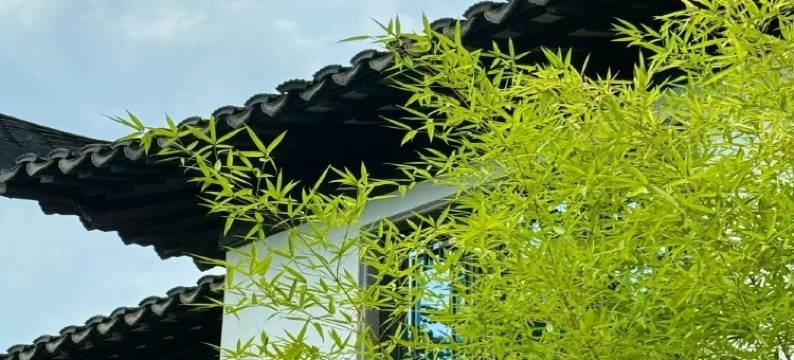 桐庐雅安中式墅院(大奇山度假区店)图片