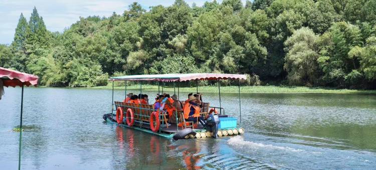 安吉桃源慢谷民宿(中南百草原店)图片