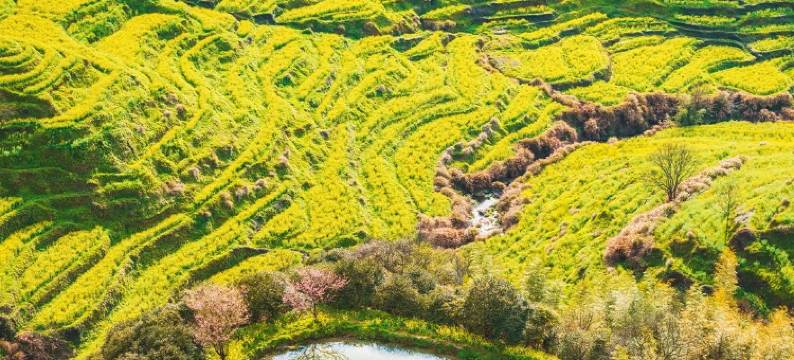 徽韵・百川茗舍·云栖望山观景民宿图片