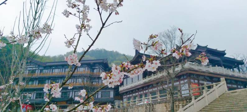 宜兴竹泉精舍酒店(南岳禅寺店)图片