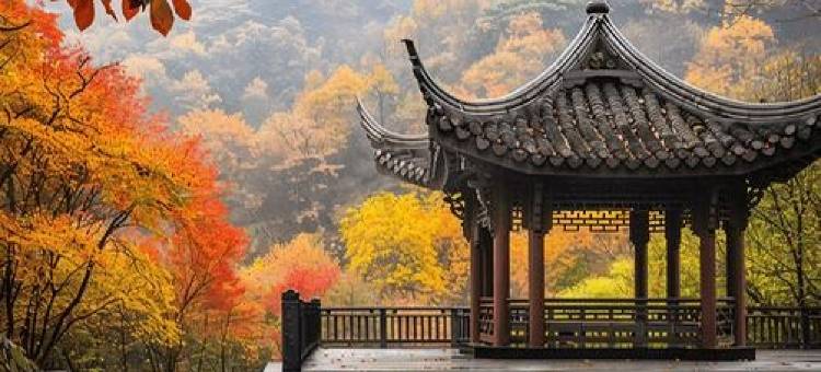 长沙宾际·云端酒店(五一广场培元桥地铁站店)图片