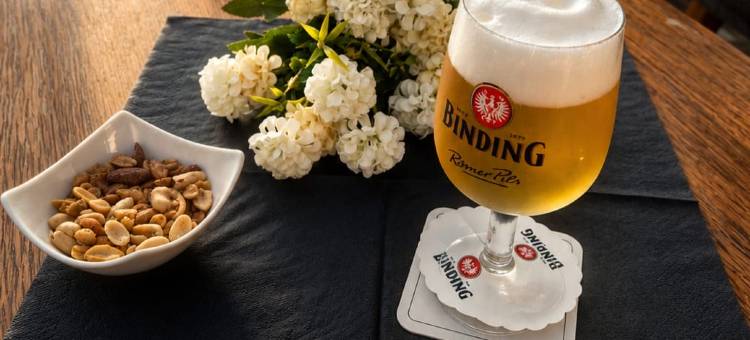 天顶酒店法兰克福机场(Zenith Hotel Frankfurt Airport)图片