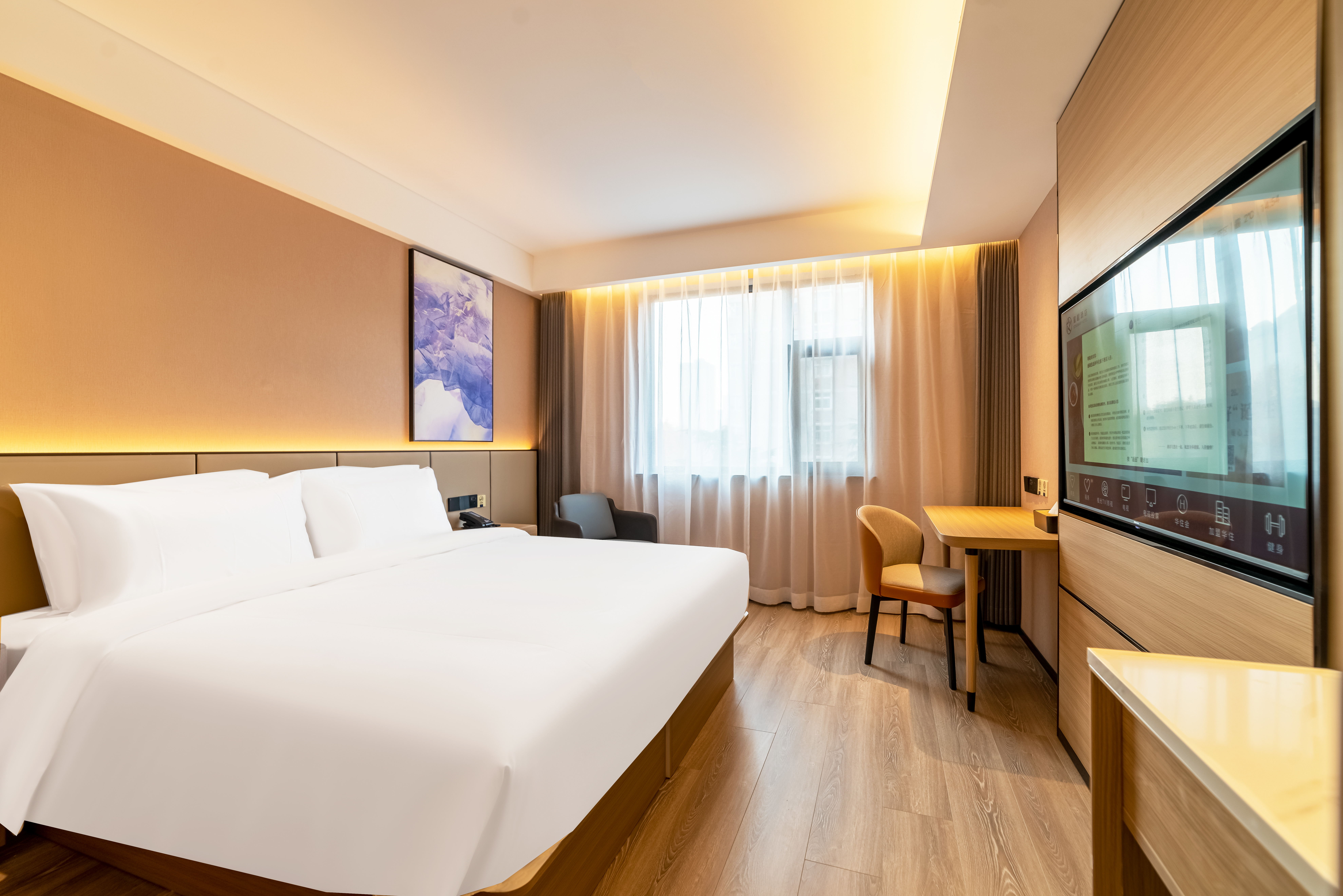 Starway Hotel (Xi'an Big Wild Goose Pagoda History Museum)Over view