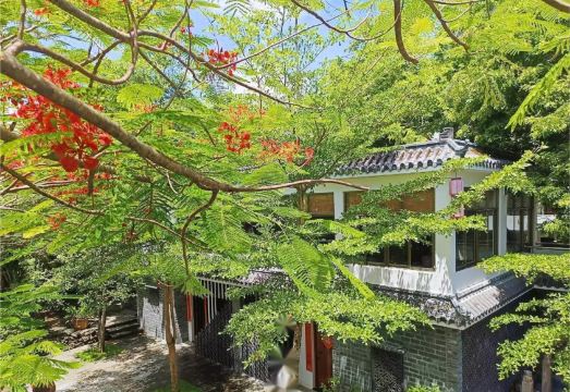 花筑·榕树下的院子（富力海洋文化城店）外景图