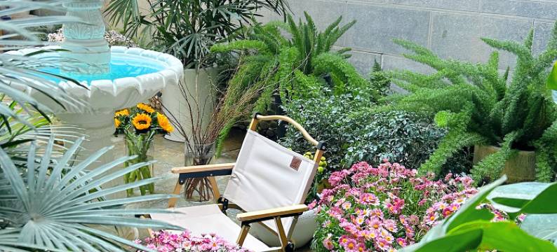 春和景明美宿(大理古城店)图片