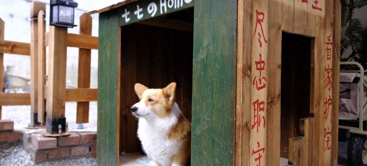 悦山青旅民宿(阳朔兴坪古镇店)图片