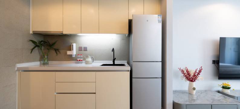 轻奢晓筑·铂金屋精品公寓(天津小白楼五大道店)图片