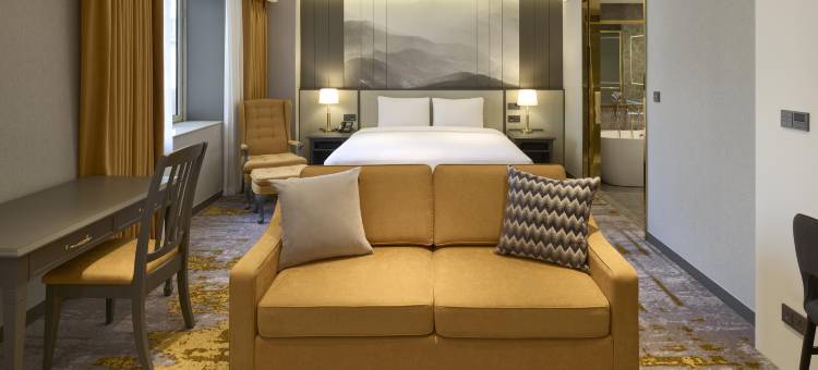 美爵首尔江南皇宫酒店(Grand Mercure Imperial Palace Seoul Gangnam)图片