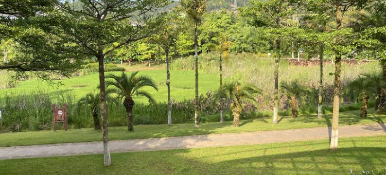 普洱古道博刻艺术客栈图片