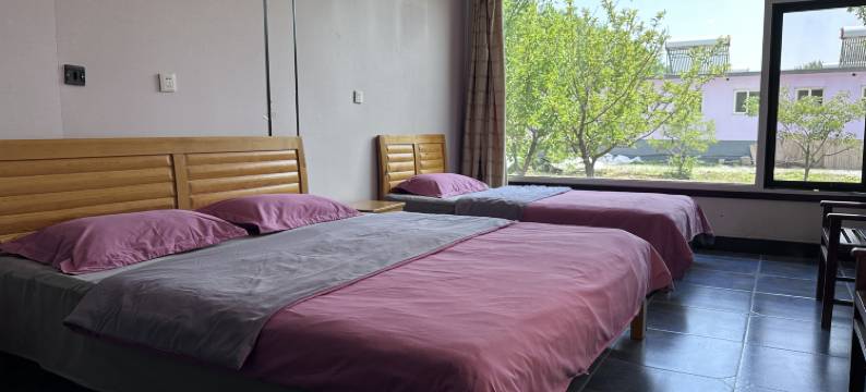 昌黎金海渔村农家院图片