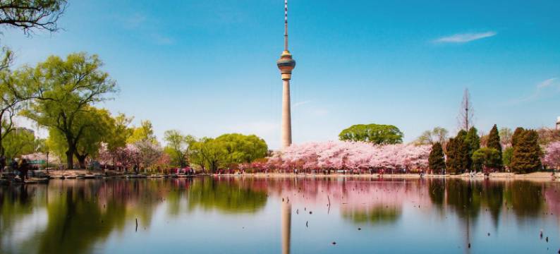 北京天泰宾馆图片