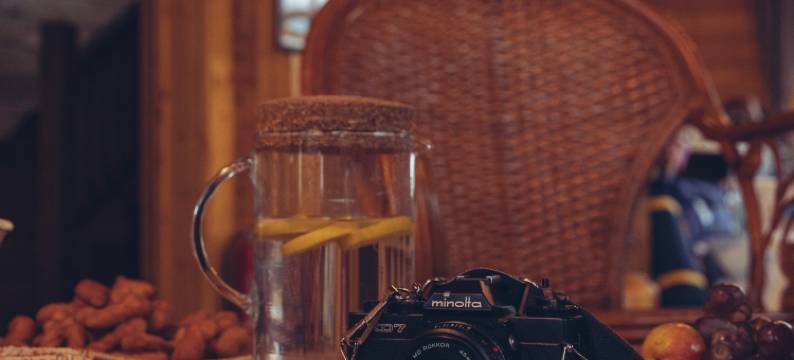 特伦马术营地图片