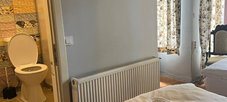 韦尼维迪多米酒店(VENİ VİDİ DORMİ)图片