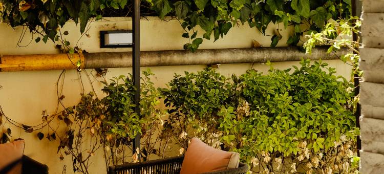 罗马俱乐部会所c酒店(c-hotels Club House Roma)图片