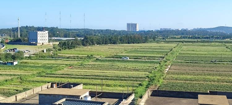平潭汐屿岚望民宿图片