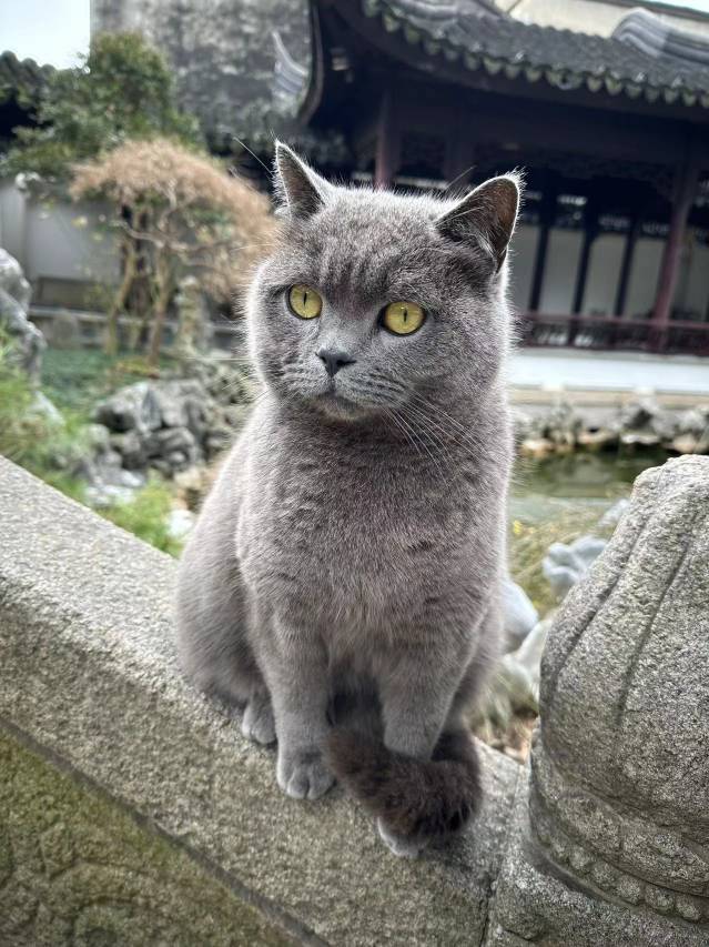 花筑·同里古镇懿园园林客栈图片