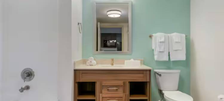 奥兰多西部希尔顿假日俱乐部水晶酒店(Hilton Vacation Club Aqua Sol Orlando West)图片