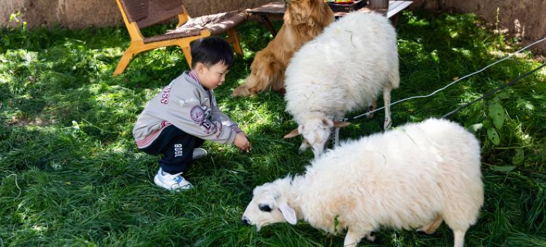 香格里拉青雨·见山归璞庄园(纳帕海景区店)图片