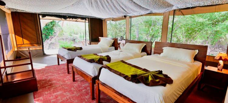 Mtito野生动物营地(Mtito Safari Camp)图片