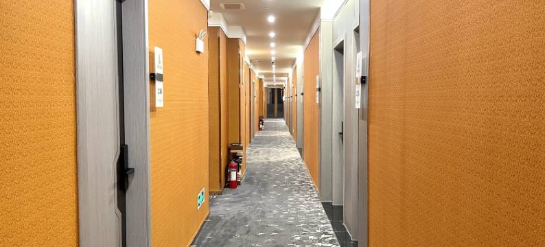 坤泊轻奢酒店(绿地新都会店)图片