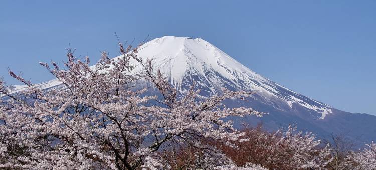 富士山酒店(Hotel Mt. Fuji)图片