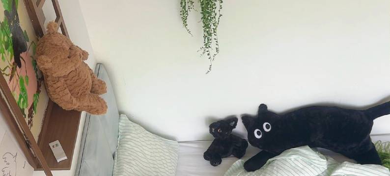 广州如风租房(植物园地铁站龙洞步行街店)图片