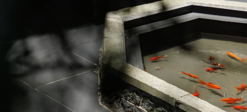 平潭云上柏湾酒店图片