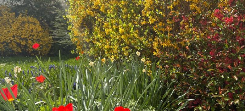 Hotel Kern Buam(Hotel Kern Buam)图片