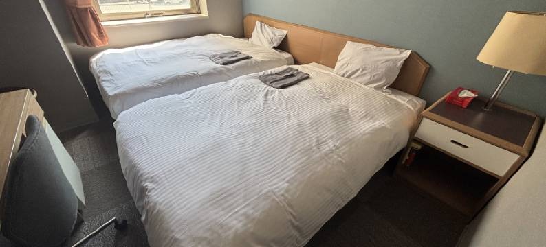 特托拉斯普利札幌酒店(Hotel Tetora Spirit Sapporo)图片