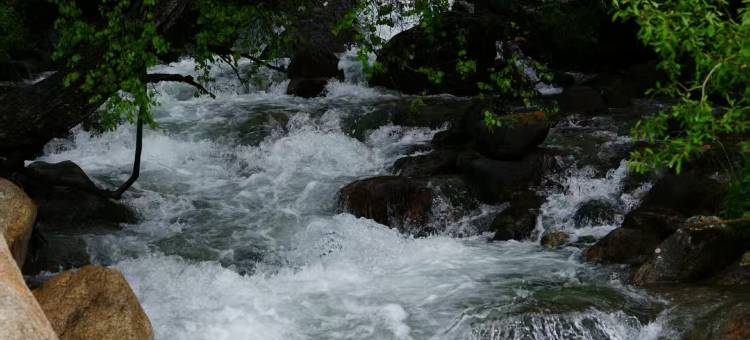 琼库什台阅木山居民宿图片