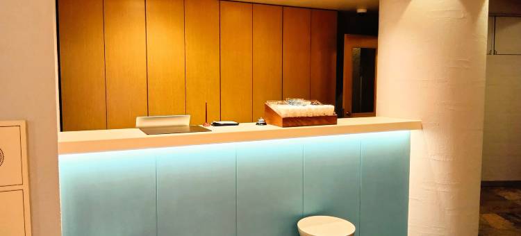 川崎站奈斯特精选酒店(Nesthotel alt. Kawasaki Station)图片