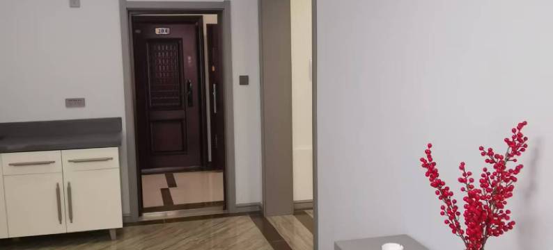 萝北凤翔镇清雅民宿图片