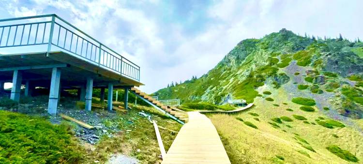赛里木湖迎客松山庄图片