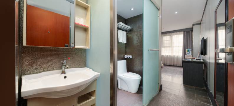 河池嘉艺大酒店(金城江白马步行街店)图片