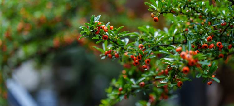 隐山梵野·‌Serenity‌设计师美宿(沙溪古镇店)图片
