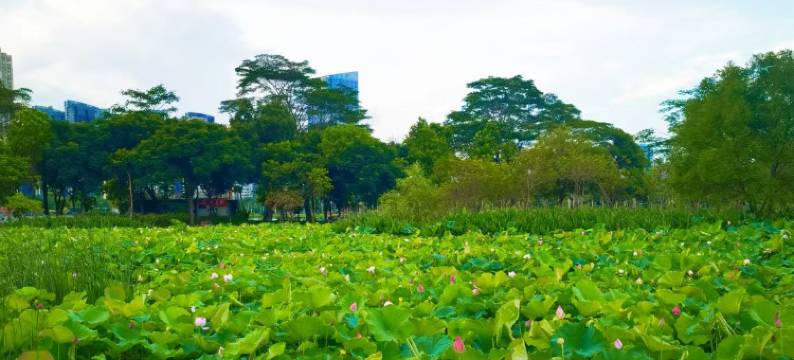 珊瑚海青年旅舍(碧湖万达广场店)图片