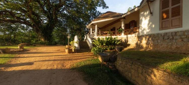 克洛庄园·七天使(Clodagh Manor House by Seven Angels)图片