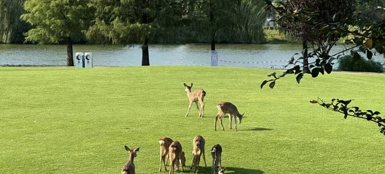 白玉兰酒店(桂林站象鼻山景区店)图片