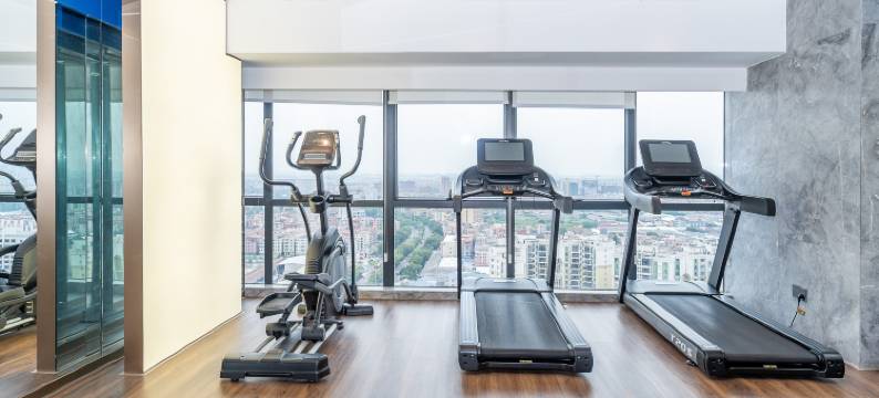 佛山广佛智城枫渡酒店图片